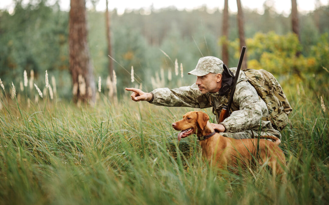 deer hunting preserves hunting dog