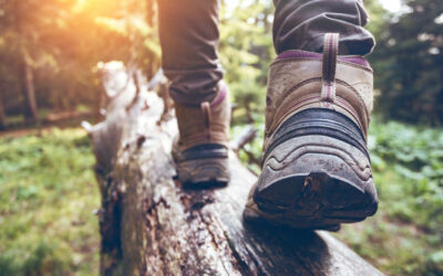 4 Simple Hiking Tips for Beginners