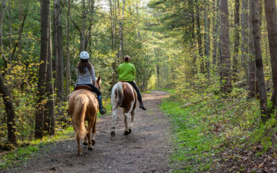 Saddle Up and Camp: Exploring the Joys of Horse Camping at Edenwood